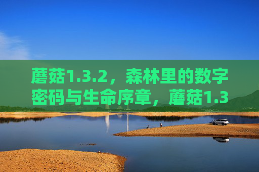 蘑菇1.3.2，森林里的数字密码与生命序章，蘑菇1.3.2，森林数字密码与生命序章