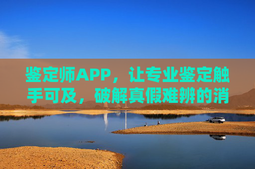 鉴定师APP，让专业鉴定触手可及，破解真假难辨的消费困局，鉴定师APP，专业鉴定触手可及，破解消费真假困局
