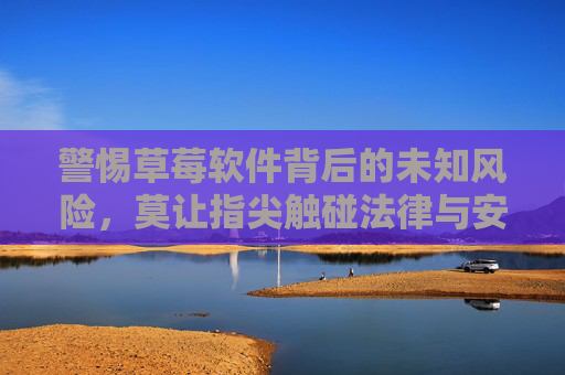 警惕草莓软件背后的未知风险，莫让指尖触碰法律与安全的红线