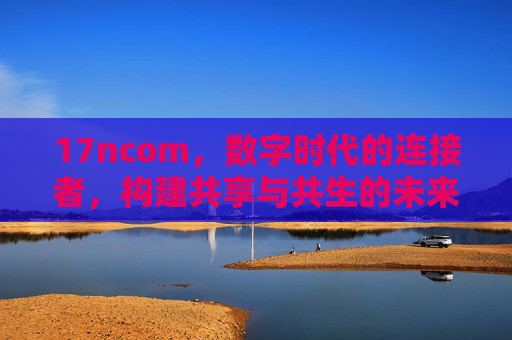17ncom，数字时代的连接者，构建共享与共生的未来生态，17ncom，数字时代的连接者，共享共生未来生态