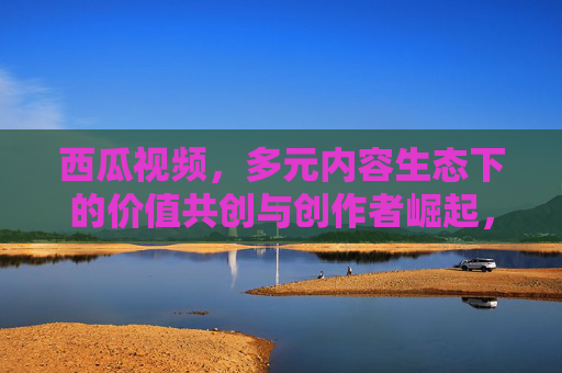 西瓜视频，多元内容生态下的价值共创与创作者崛起，西瓜视频，多元内容生态的价值共创与创作者崛起