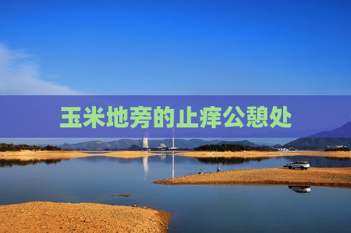 玉米地旁的止痒公憩处