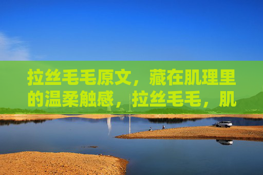 拉丝毛毛原文，藏在肌理里的温柔触感，拉丝毛毛，肌理里的温柔触感