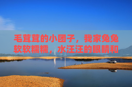 毛茸茸的小团子，我家兔兔软软糯糯，水汪汪的眼睛和超多萌图视频大放送！毛茸茸软糯兔兔驾到！水汪汪萌眼萌图视频大放送