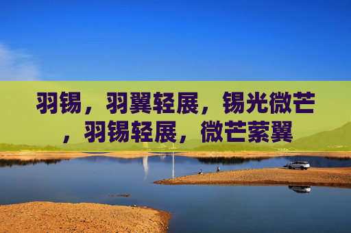 羽锡，羽翼轻展，锡光微芒，羽锡轻展，微芒萦翼