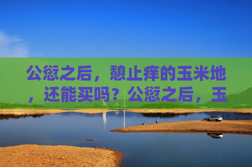 公愆之后，憩止痒的玉米地，还能买吗？公愆之后，玉米地还能买吗？