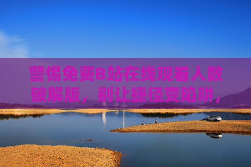 警惕免费B站在线观看人数破解版，别让捷径变陷阱，警惕免费B站观看人数破解版，别让捷径变陷阱