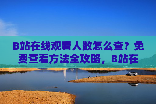 B站在线观看人数怎么查？免费查看方法全攻略，B站在线观看人数查询，免费查看方法全攻略