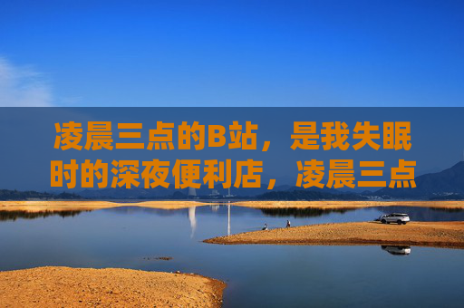 凌晨三点的B站，是我失眠时的深夜便利店，凌晨三点的B站，失眠者的深夜便利店