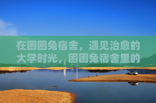 在困困兔宿舍，遇见治愈的大学时光，困困兔宿舍里的治愈大学时光