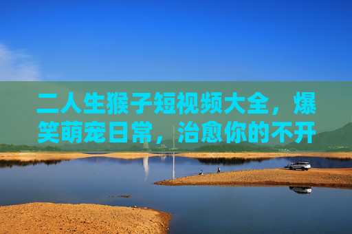 二人生猴子短视频大全，爆笑萌宠日常，治愈你的不开心！