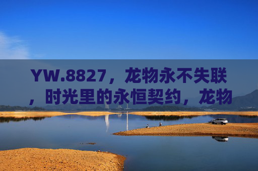 YW.8827，龙物永不失联，时光里的永恒契约，龙物，时光里的永不失联契约
