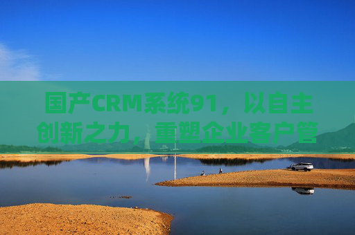 国产CRM系统91，以自主创新之力，重塑企业客户管理新生态，国产CRM系统91，自主创新重塑企业客户管理新生态