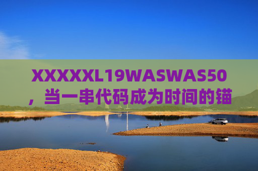 XXXXXL19WASWAS50，当一串代码成为时间的锚点，代码，时光的锚点