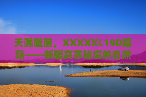 天赐疆菌，XXXXXL19D蘑菇——新疆高寒秘境的自然馈赠与生命密码，天赐疆菌XXXXXL19D，新疆高寒秘境的自然馈赠与生命密码