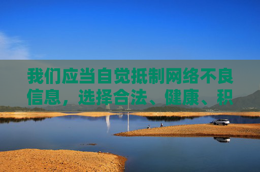 我们应当自觉抵制网络不良信息，选择合法、健康、积极的娱乐方式。互联网不是法外之地，任何传播淫秽色情信息的行为都将受到法律的严惩。建议广大网民树立正确的网络观，远离不良网站，共同营造风清气正的网络空间，抵制不良信息，共建清朗网络