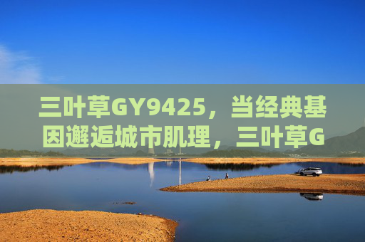 三叶草GY9425，当经典基因邂逅城市肌理，三叶草GY9425，经典基因邂逅城市肌理
