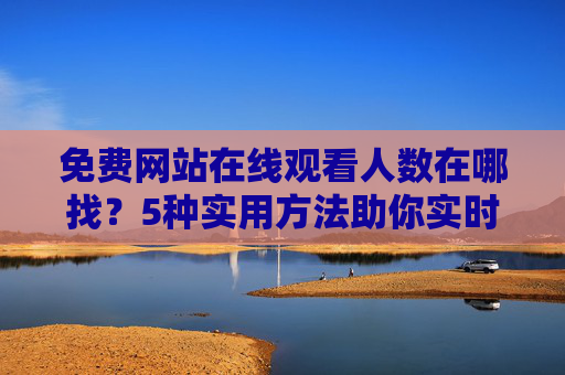 免费网站在线观看人数在哪找?5种实用方法助你实时掌握观看热度,免费网站在线观看人数查找方法,5种实用方式实时掌握观看热度