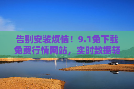 告别安装烦恼！9.1免下载免费行情网站，实时数据轻松获取