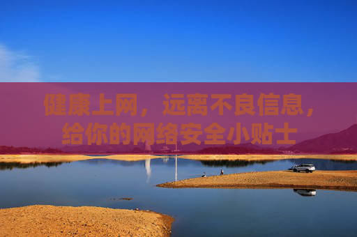 健康上网，远离不良信息，给你的网络安全小贴士