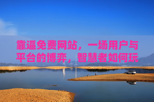 靠逼免费网站，一场用户与平台的博弈，智慧者如何玩转免费？用户与平台的博弈，智慧玩转免费之道