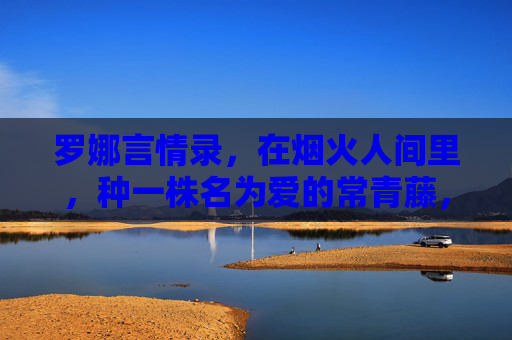 罗娜言情录，在烟火人间里，种一株名为爱的常青藤，烟火人间种爱常青藤