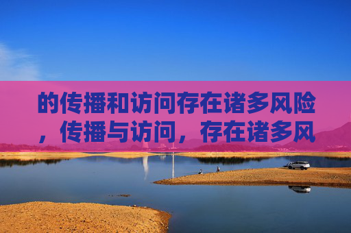 的传播和访问存在诸多风险，传播与访问，存在诸多风险