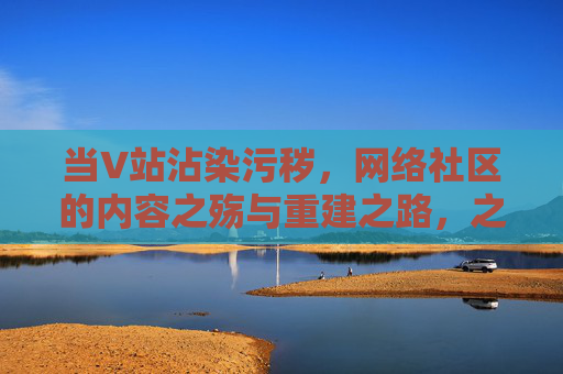 当V站沾染污秽,网络社区的内容之殇与重建之路,之殇,污秽下的社区重建之路