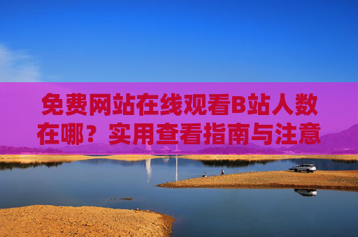 免费网站在线观看B站人数在哪?实用查看指南与注意事项,免费查看B站在线人数,实用指南与注意事项