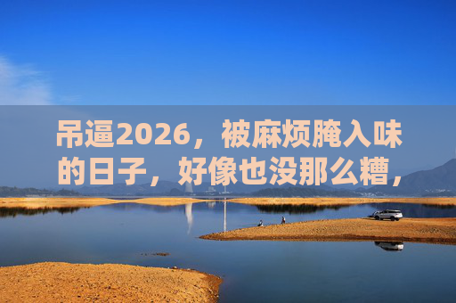 吊逼2026，被麻烦腌入味的日子，好像也没那么糟，2026，被麻烦腌入味的日子，好像也没那么糟