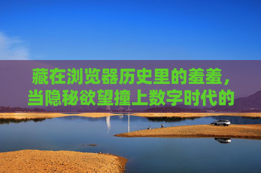 藏在浏览器历史里的羞羞，当隐秘欲望撞上数字时代的围墙