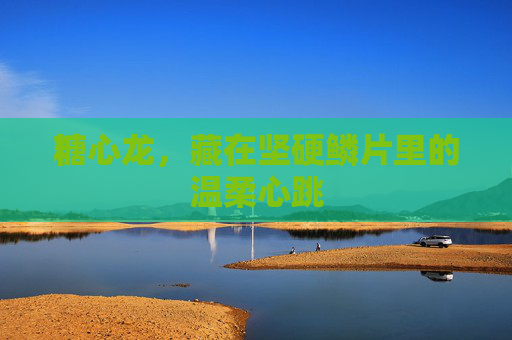 糖心龙，藏在坚硬鳞片里的温柔心跳