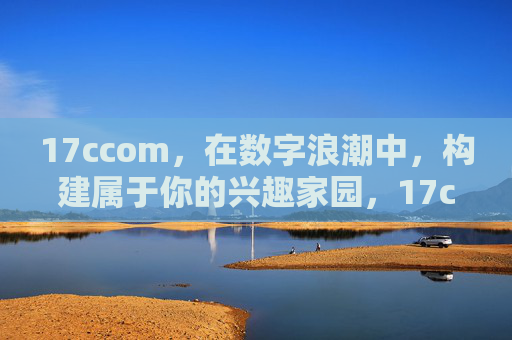 17ccom，在数字浪潮中，构建属于你的兴趣家园，17ccom，数字浪潮中构建你的兴趣家园