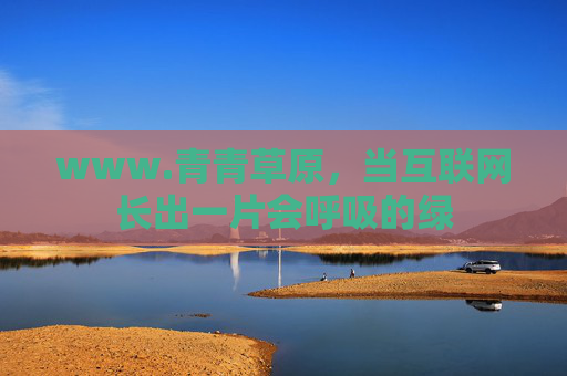 www.青青草原，当互联网长出一片会呼吸的绿