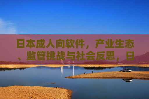 日本成人向软件，产业生态、监管挑战与社会反思，日本成人向软件，产业生态、监管挑战与社会反思