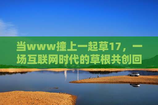 当www撞上一起草17，一场互联网时代的草根共创回响，www撞上一起草17，互联网草根共创回响