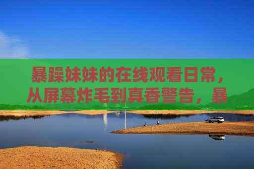 暴躁妹妹的在线观看日常，从屏幕炸毛到真香警告，暴躁妹妹的在线观看日常，从屏幕炸毛到真香警告