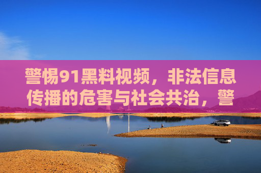 警惕91黑料视频，非法信息传播的危害与社会共治，警惕91黑料视频，非法信息传播的危害与社会共治