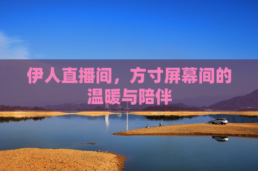 伊人直播间，方寸屏幕间的温暖与陪伴