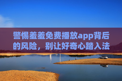 警惕羞羞免费播放app背后的风险，别让好奇心踏入法律与安全的雷区，警惕羞羞免费播放app，好奇心莫入法律安全雷区