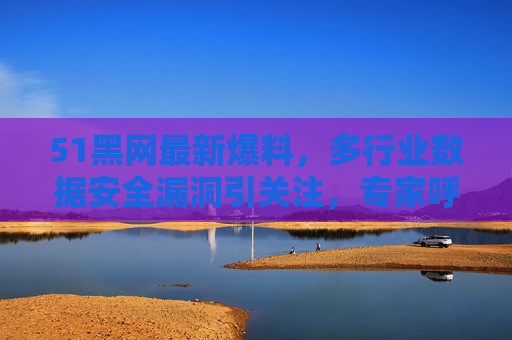 51黑网最新爆料，多行业数据安全漏洞引关注，专家呼吁加强防护
