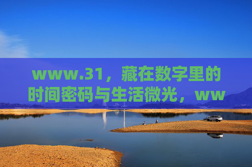 www.31，藏在数字里的时间密码与生活微光，www.31，数字里的时间密码与生活微光