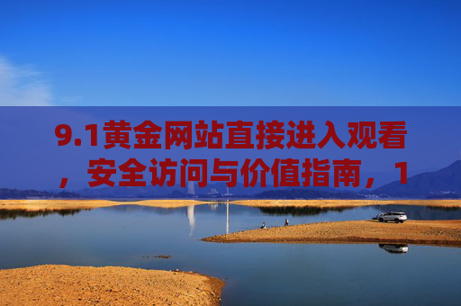 9.1黄金网站直接进入观看，安全访问与价值指南，1黄金网站，安全直接访问与价值指南