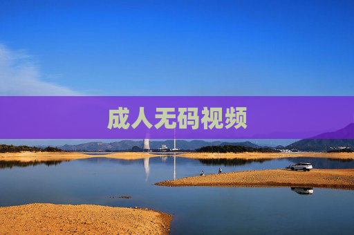成人无码视频