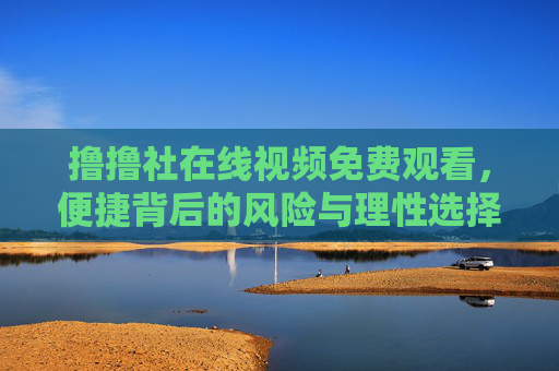 撸撸社在线视频免费观看，便捷背后的风险与理性选择，撸撸社在线视频免费观看，便捷背后的风险与理性选择