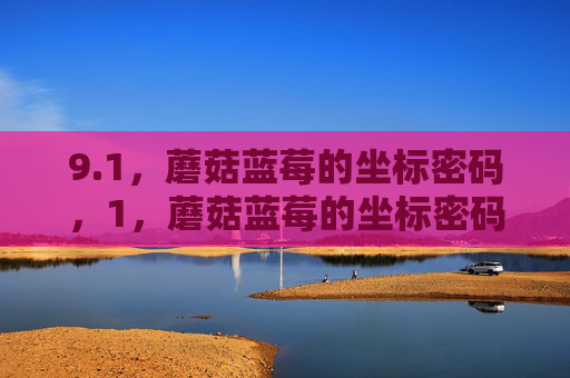 9.1，蘑菇蓝莓的坐标密码，1，蘑菇蓝莓的坐标密码