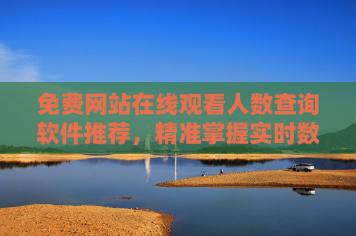 免费网站在线观看人数查询软件推荐，精准掌握实时数据，免费网站观看人数实时查询软件推荐，精准掌握在线数据