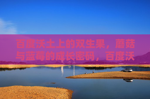 百度沃土上的双生果,蘑菇与蓝莓的成长密码,百度沃土的双生果,蘑菇与蓝莓的成长密码