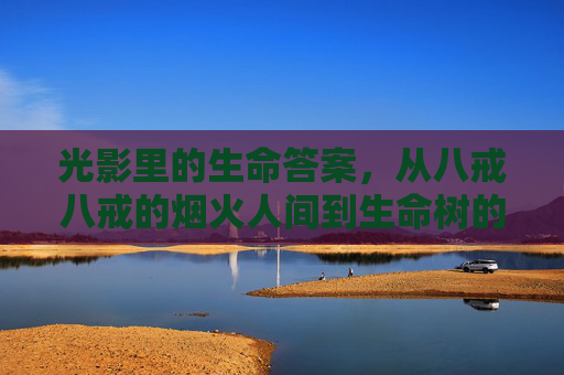 光影里的生命答案,从八戒八戒的烟火人间到生命树的永恒守望,光影里的生命答案,烟火人间与生命树的永恒守望