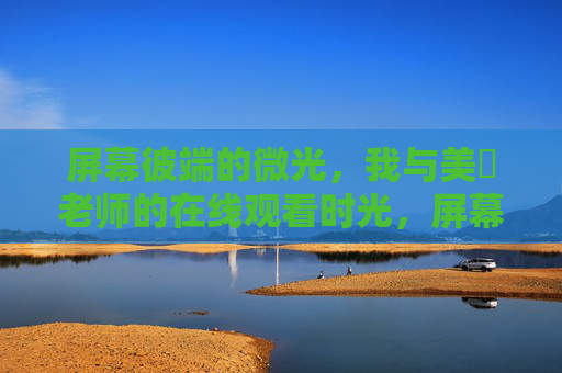屏幕彼端的微光，我与美咲老师的在线观看时光，屏幕彼端的微光，我与美咲老师的在线时光